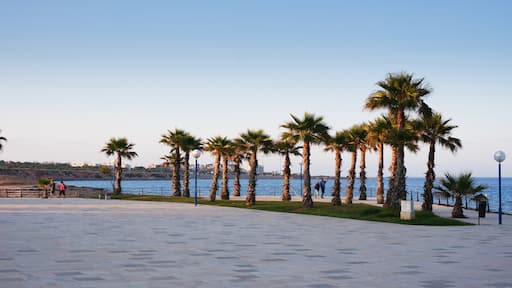 playa flamenca is een veelzijdige kustplaats die alles biedt